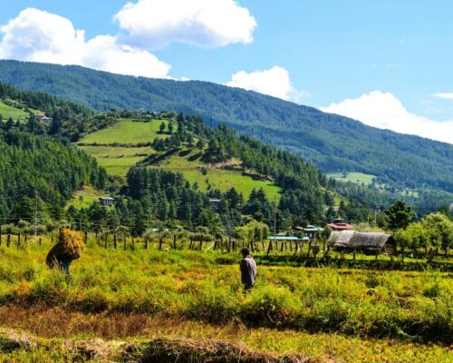 Bumthang-valley Bumthang-valley