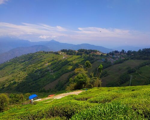 Darjeeling Darjeeling