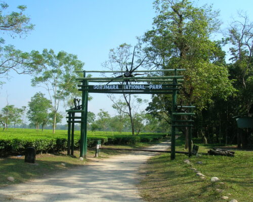 Gorumara_Gateway_Arnab_Dutta Gorumara_Gateway_Arnab_Dutta