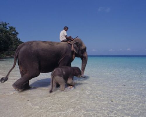 Little-Andaman
