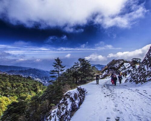 Sandakphu-Indiahikes3-1-1 Sandakphu trek