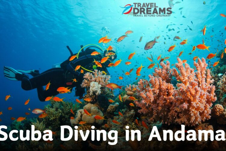 Scuba Diving in Andaman