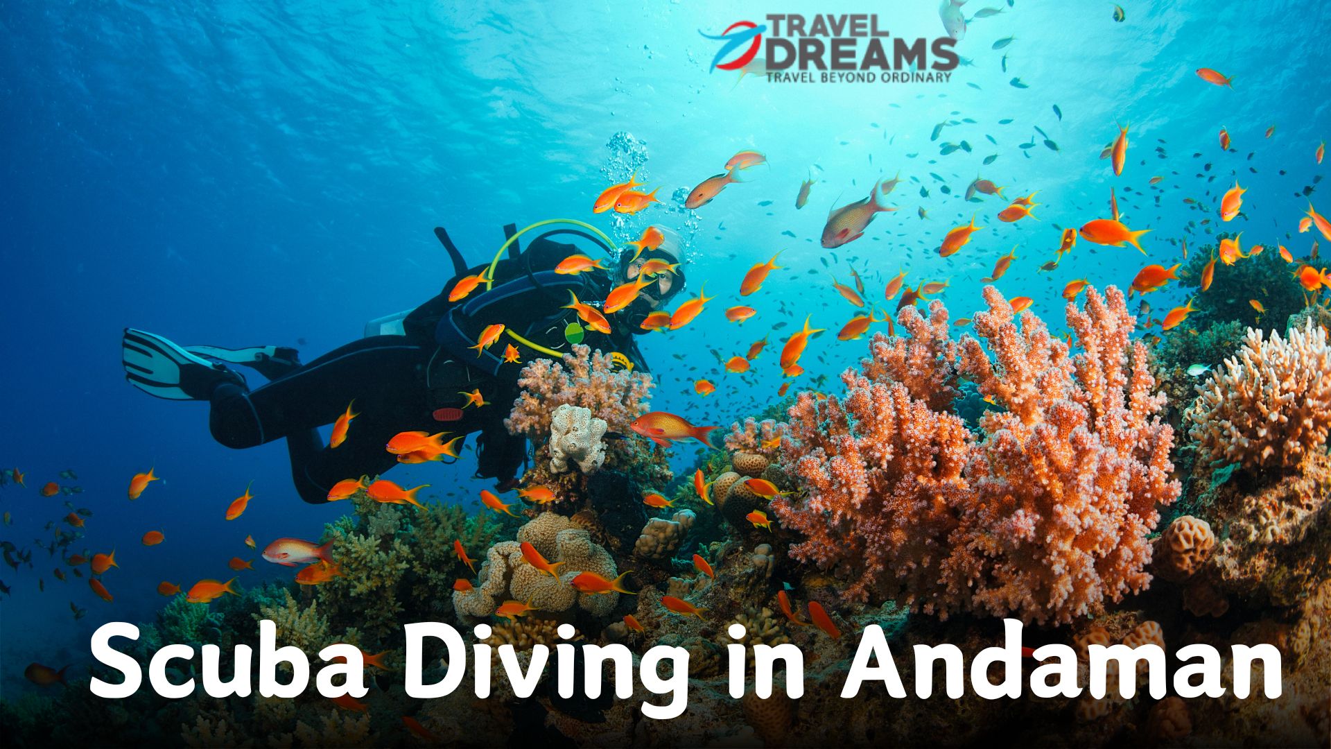 Scuba Diving in Andaman